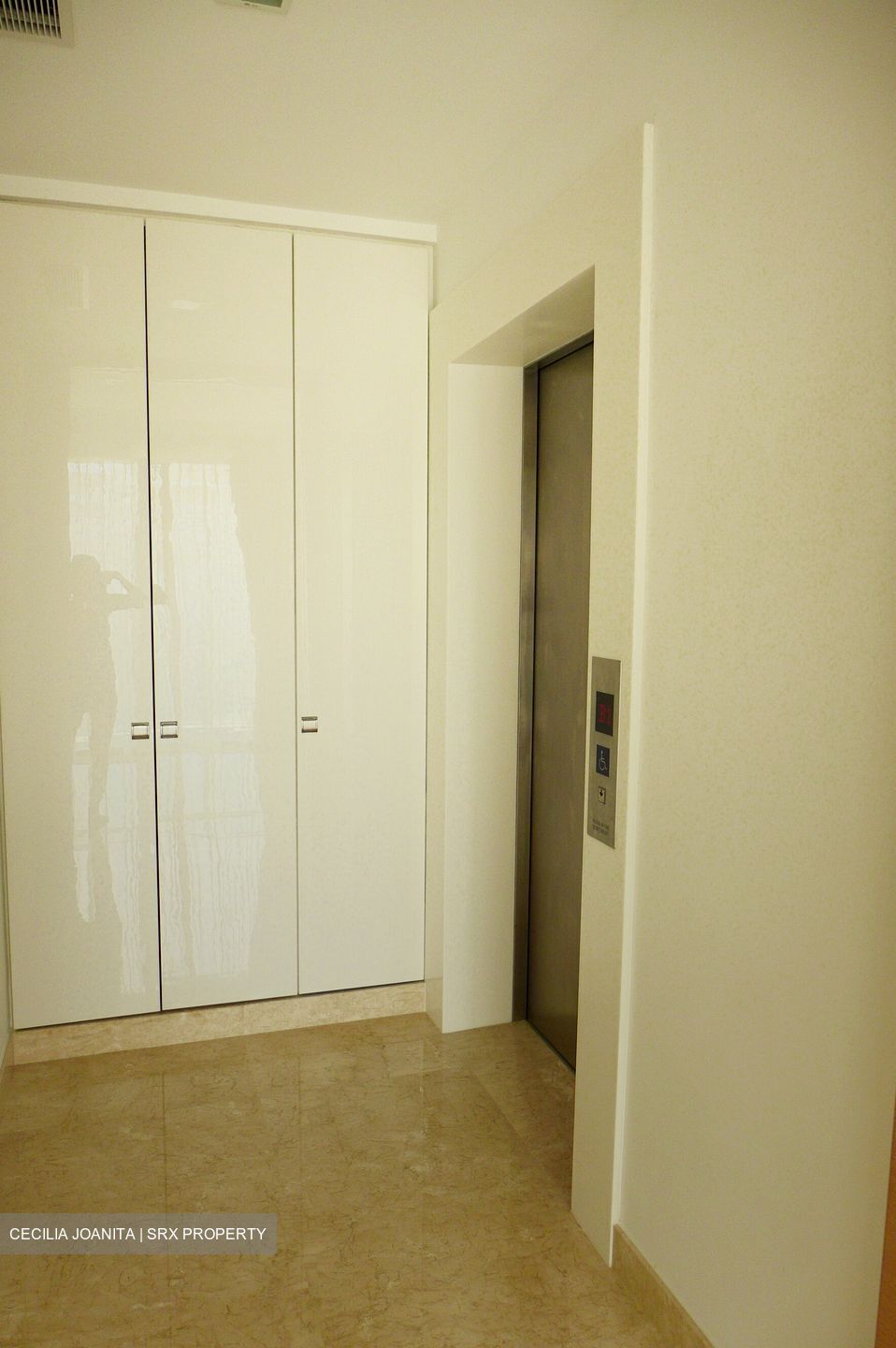 Residences @ Killiney (D9), Apartment #623212961